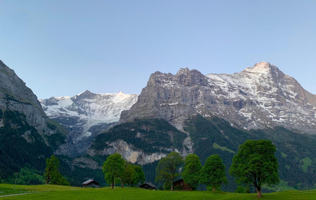 Eiger, Jungfrau, Luxury Garden Apartment Гриндельвальд Экстерьер фото